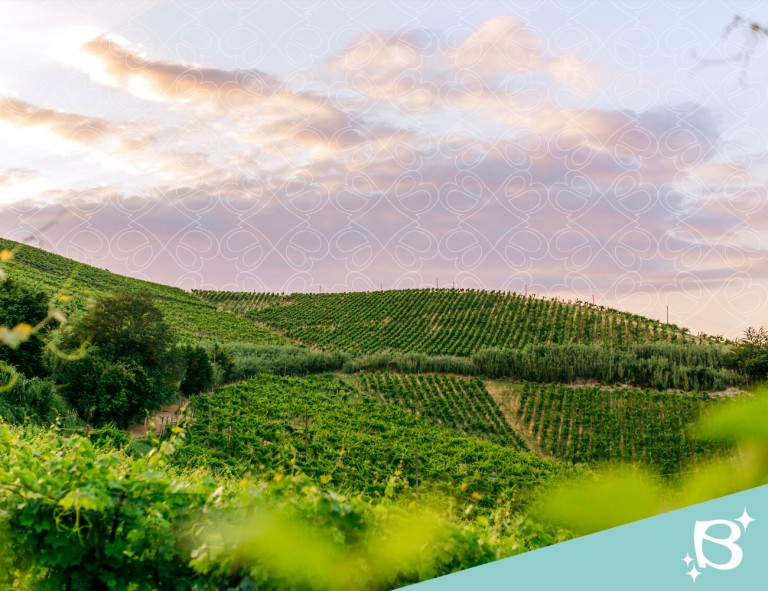 BOSCA articolo blog Unesco